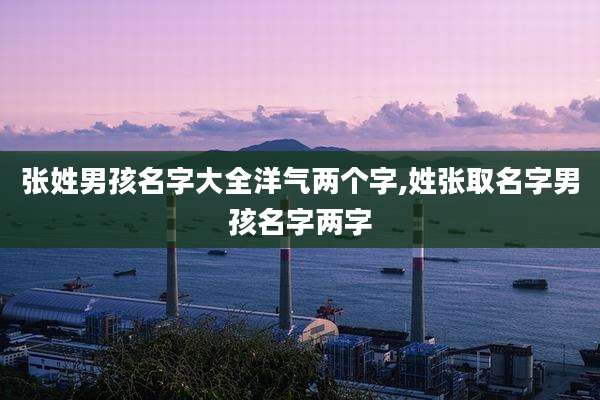 张姓男孩名字大全洋气两个字,姓张取名字男孩名字两字