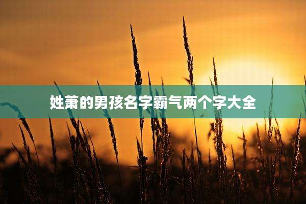 姓萧的男孩名字霸气两个字大全