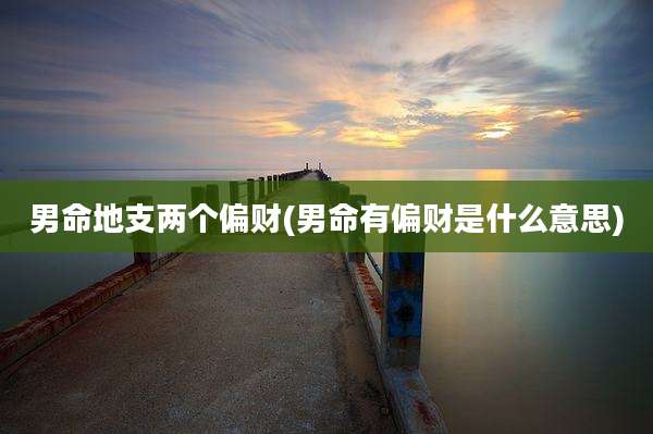 男命地支两个偏财(男命有偏财是什么意思)