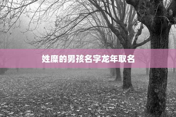 姓糜的男孩名字龙年取名