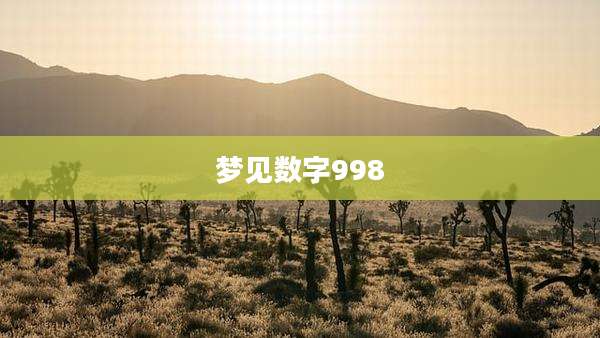 梦见数字998