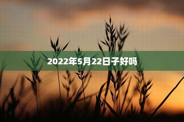 2022年5月22日子好吗