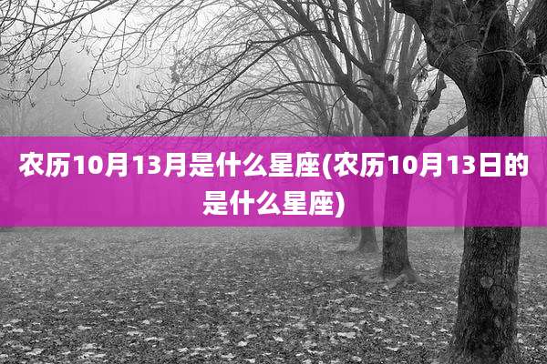 农历10月13月是什么星座(农历10月13日的是什么星座)