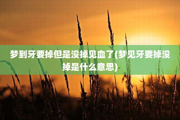 梦到牙要掉但是没掉见血了(梦见牙要掉没掉是什么意思)
