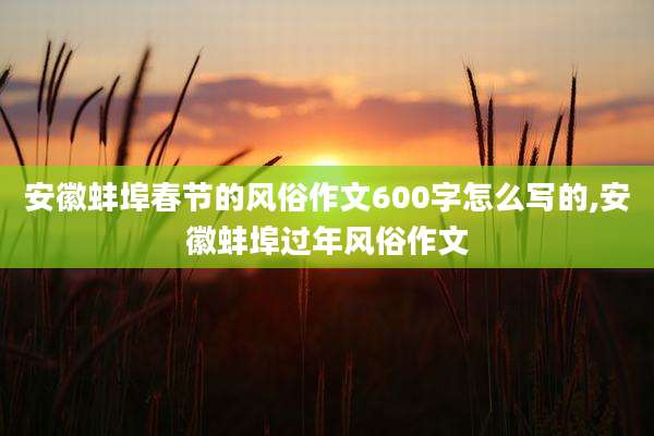 安徽蚌埠春节的风俗作文600字怎么写的,安徽蚌埠过年风俗作文