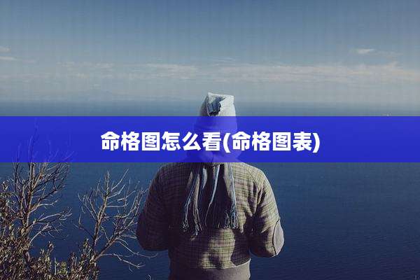 命格图怎么看(命格图表)