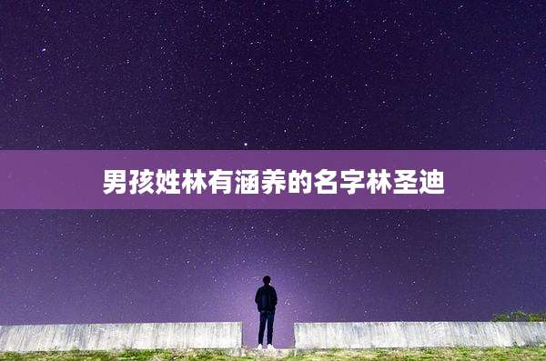 男孩姓林有涵养的名字林圣迪