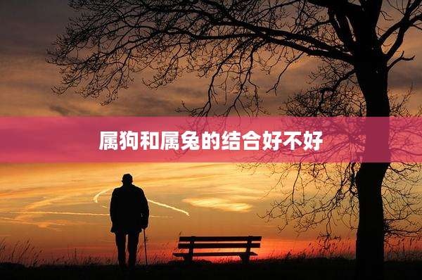 属狗和属兔的结合好不好