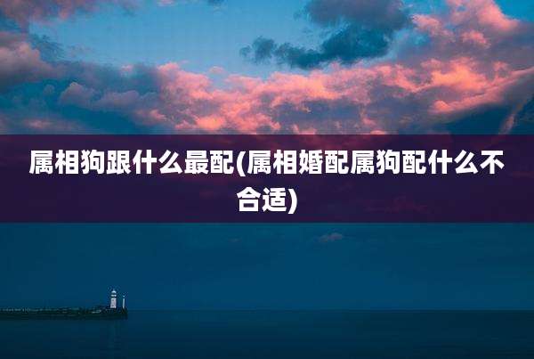 属相狗跟什么最配(属相婚配属狗配什么不合适)