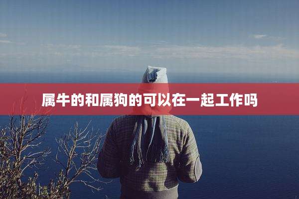 属牛的和属狗的可以在一起工作吗