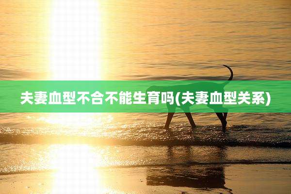 夫妻血型不合不能生育吗(夫妻血型关系)