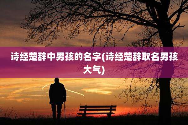 诗经楚辞中男孩的名字(诗经楚辞取名男孩大气)