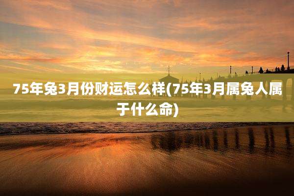 75年兔3月份财运怎么样(75年3月属兔人属于什么命)