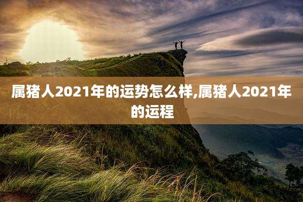 属猪人2021年的运势怎么样,属猪人2021年的运程