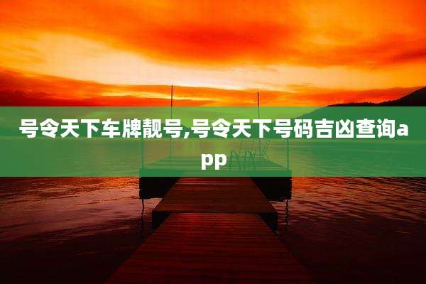 号令天下车牌靓号,号令天下号码吉凶查询app