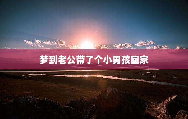 梦到老公带了个小男孩回家