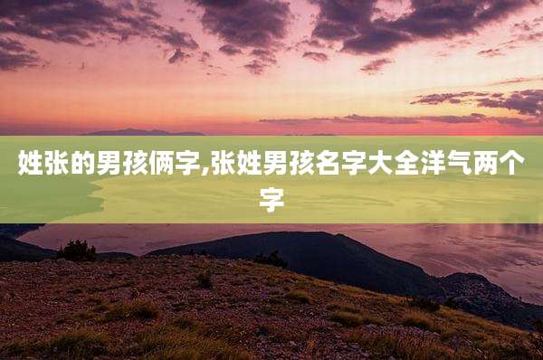 姓张的男孩俩字,张姓男孩名字大全洋气两个字