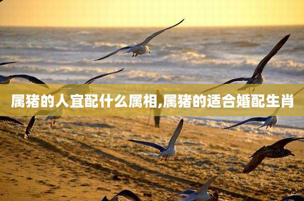 属猪的人宜配什么属相,属猪的适合婚配生肖