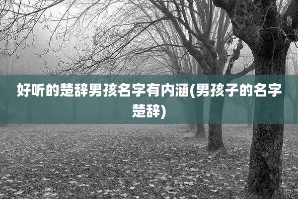 好听的楚辞男孩名字有内涵(男孩子的名字楚辞)