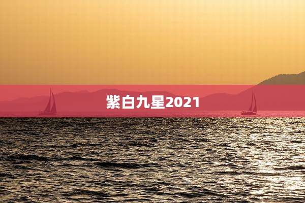 紫白九星2021