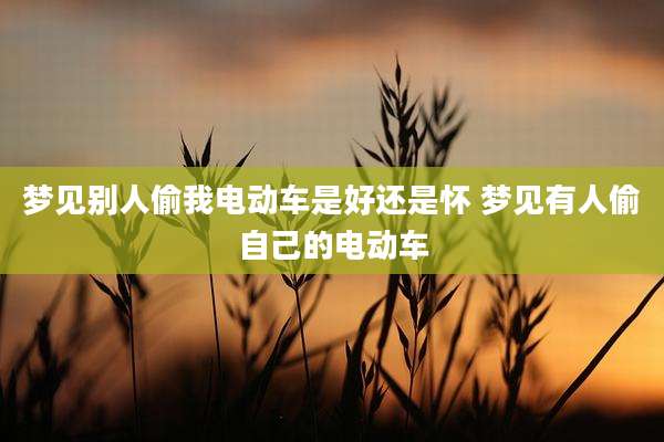 梦见别人偷我电动车是好还是怀 梦见有人偷自己的电动车