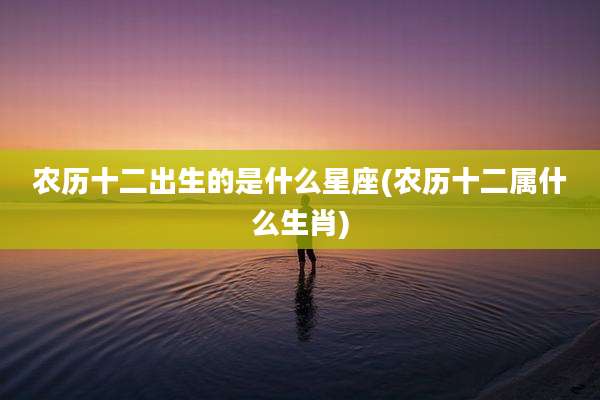 农历十二出生的是什么星座(农历十二属什么生肖)
