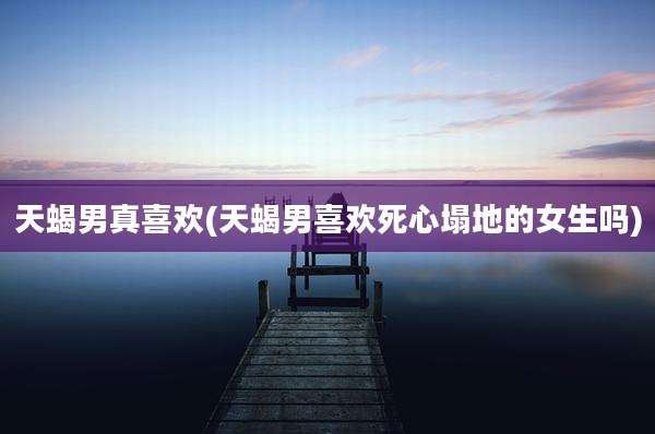 天蝎男真喜欢(天蝎男喜欢死心塌地的女生吗)