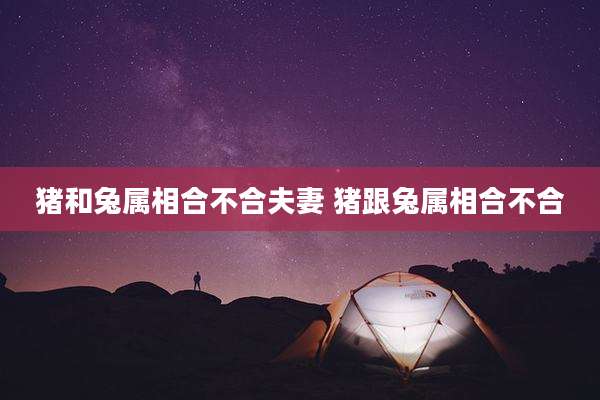 猪和兔属相合不合夫妻 猪跟兔属相合不合