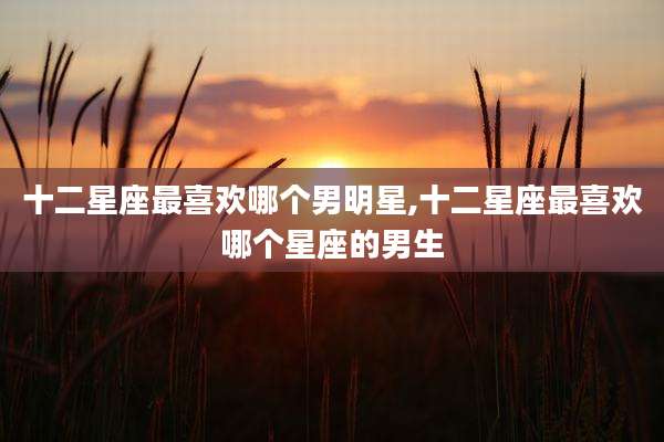 十二星座最喜欢哪个男明星,十二星座最喜欢哪个星座的男生