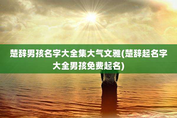 楚辞男孩名字大全集大气文雅(楚辞起名字大全男孩免费起名)