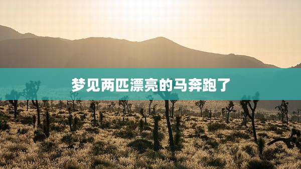 梦见两匹漂亮的马奔跑了