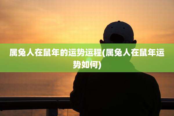 属兔人在鼠年的运势运程(属兔人在鼠年运势如何)