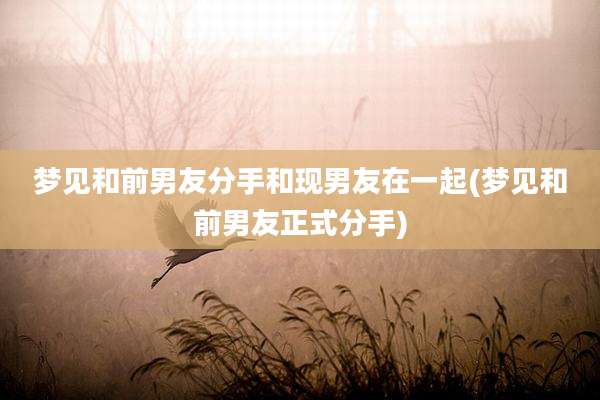 梦见和前男友分手和现男友在一起(梦见和前男友正式分手)