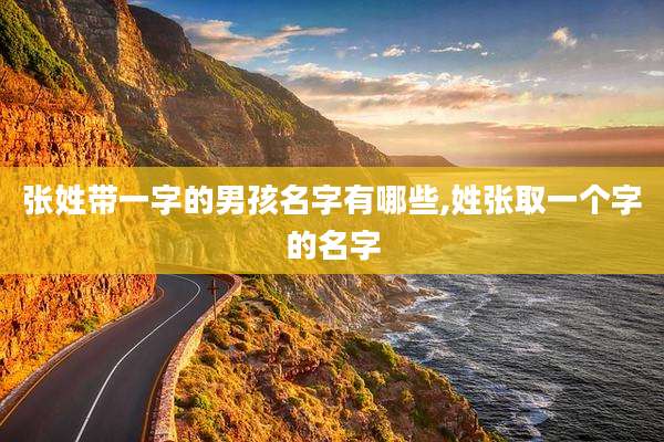 张姓带一字的男孩名字有哪些,姓张取一个字的名字