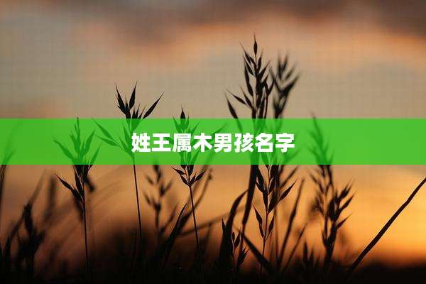 姓王属木男孩名字