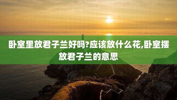 卧室里放君子兰好吗?应该放什么花,卧室摆放君子兰的意思