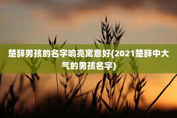 楚辞男孩的名字响亮寓意好(2021楚辞中大气的男孩名字)