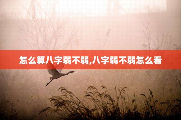怎么算八字弱不弱,八字弱不弱怎么看