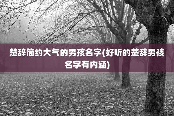 楚辞简约大气的男孩名字(好听的楚辞男孩名字有内涵)