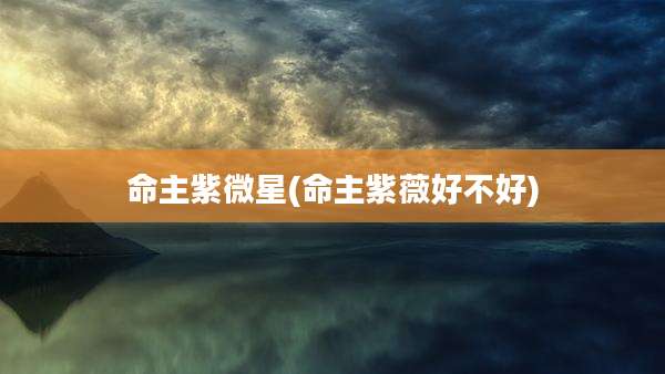 命主紫微星(命主紫薇好不好)