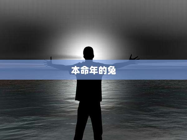 本命年的兔