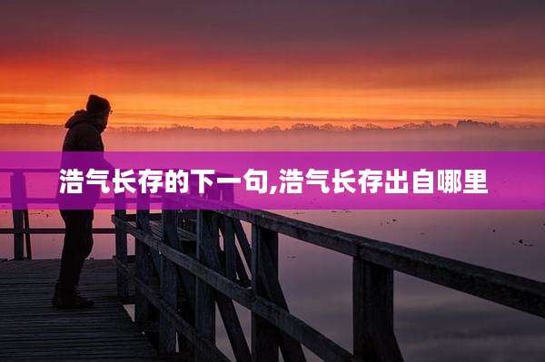 浩气长存的下一句,浩气长存出自哪里