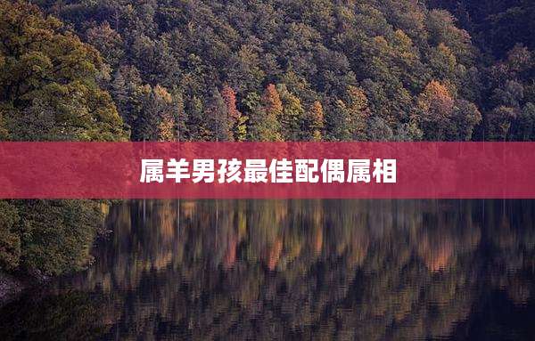 属羊男孩最佳配偶属相