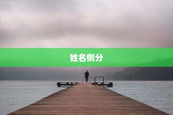 姓名侧分