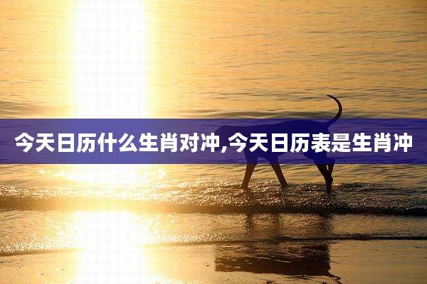 今天日历什么生肖对冲,今天日历表是生肖冲