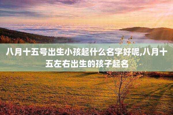 八月十五号出生小孩起什么名字好呢,八月十五左右出生的孩子起名