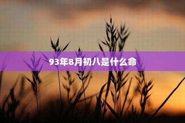 93年8月初八是什么命
