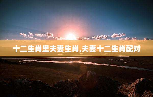 十二生肖里夫妻生肖,夫妻十二生肖配对