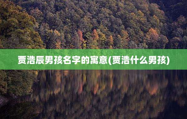贾浩辰男孩名字的寓意(贾浩什么男孩)