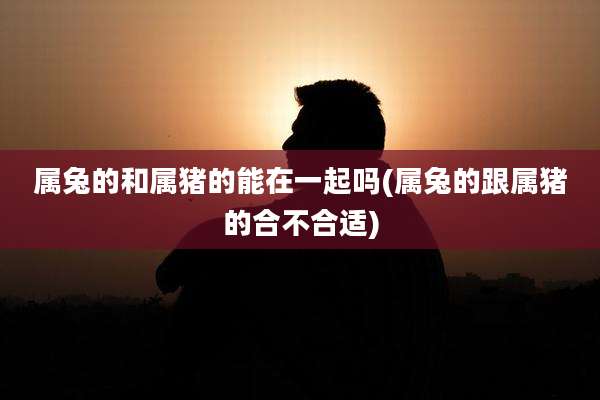 属兔的和属猪的能在一起吗(属兔的跟属猪的合不合适)